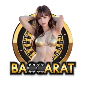 บาคาร่าทดลองเล่นฟรี-000021-02